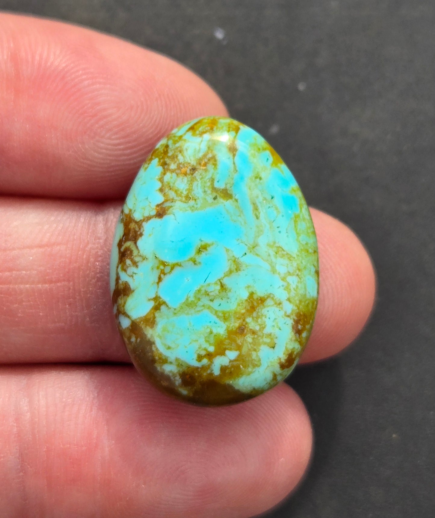 Patagonia Turquoise Cabochon