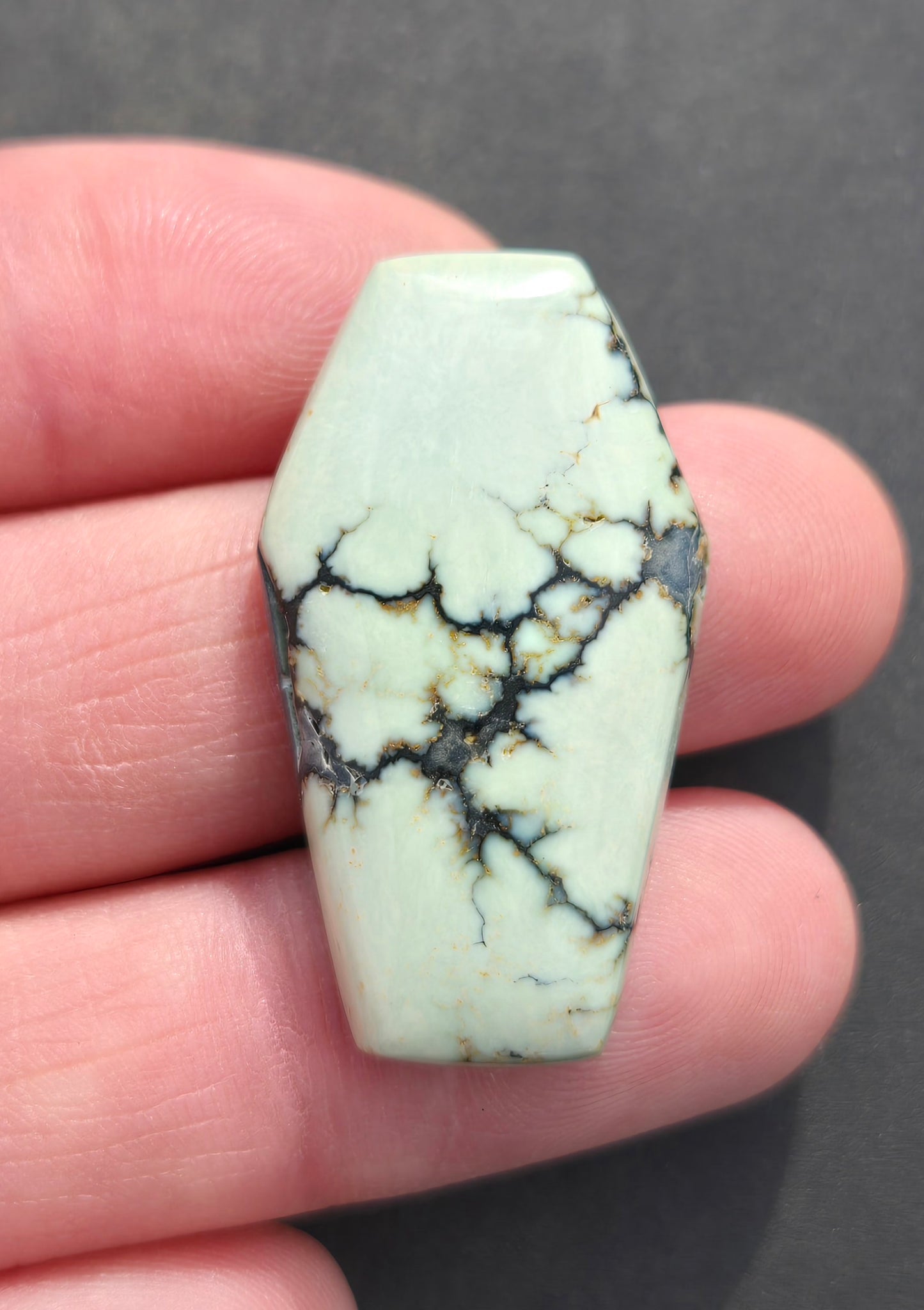 Saguaro Variscite Cabochon