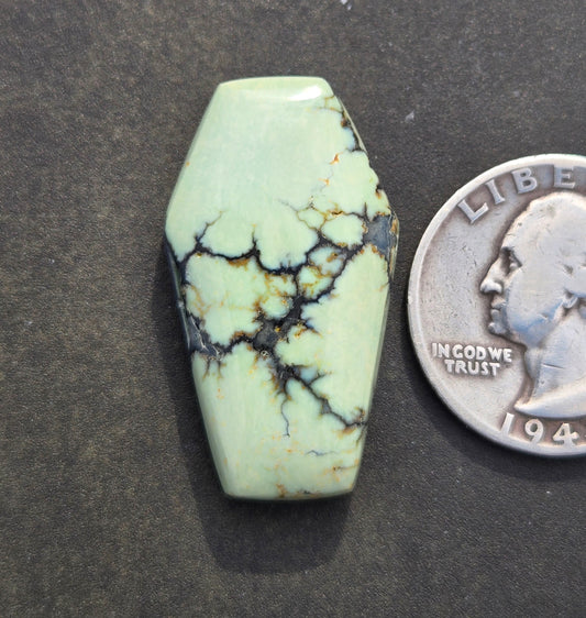 Saguaro Variscite Cabochon