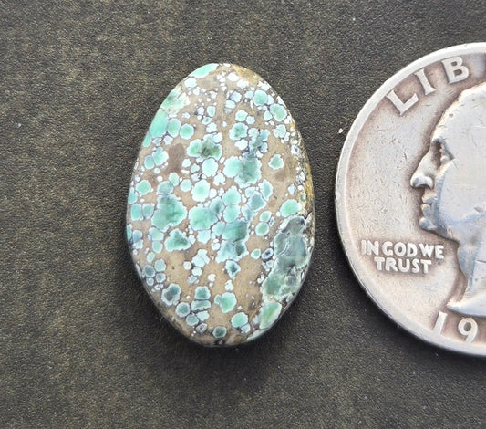 Candelaria Hills Variscite Cabochon