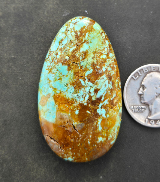 Patagonia Turquoise Cabochon