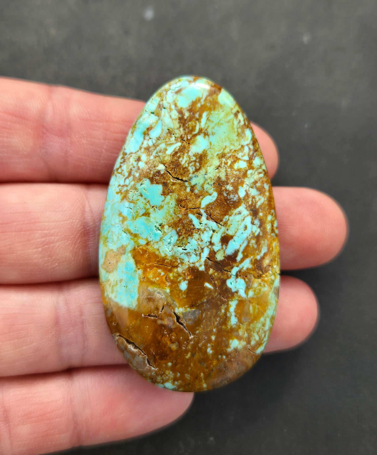 Patagonia Turquoise Cabochon