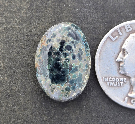 Turtleback Variscite Cabochon
