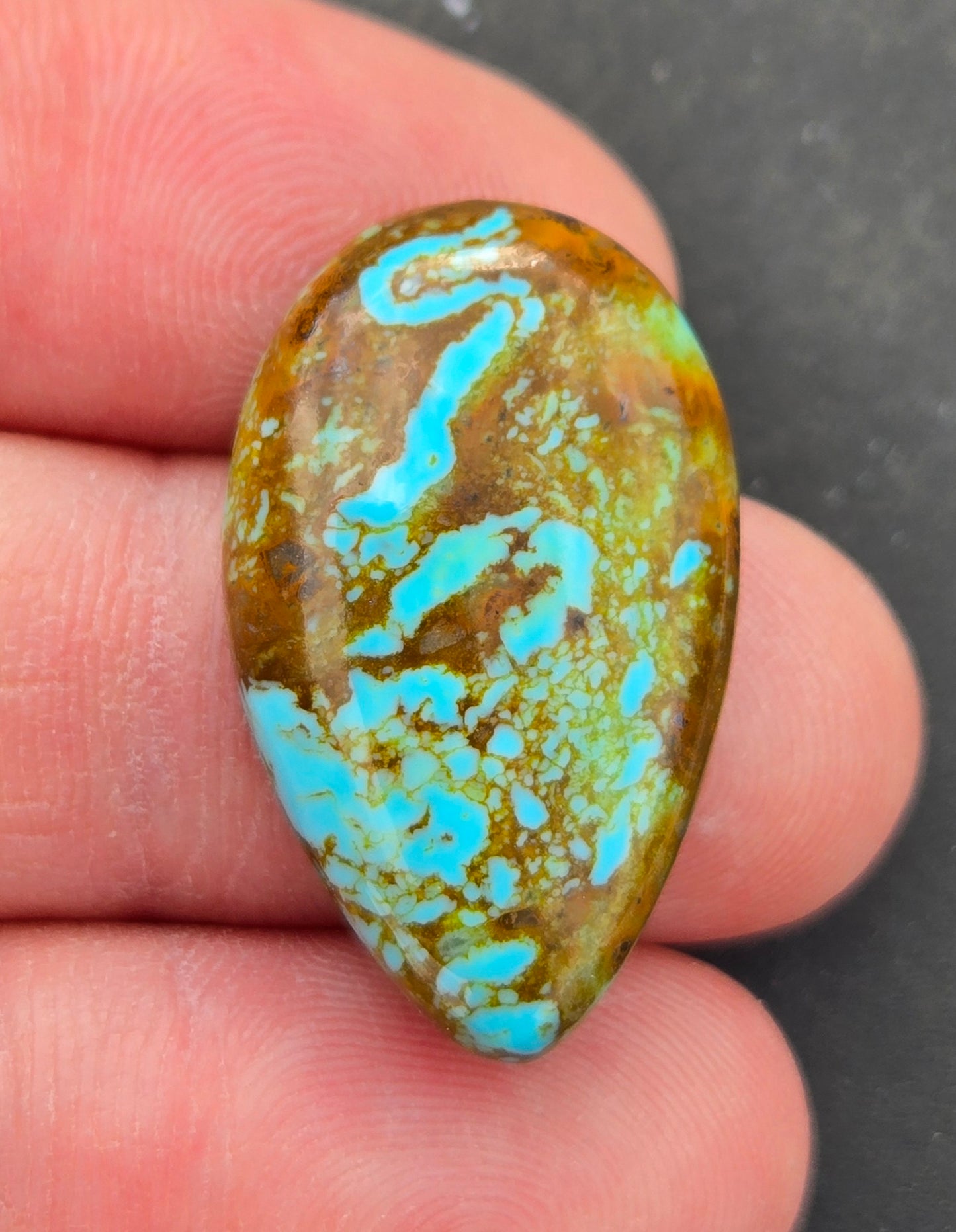 Patagonia Turquoise Cabochon