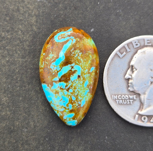Patagonia Turquoise Cabochon