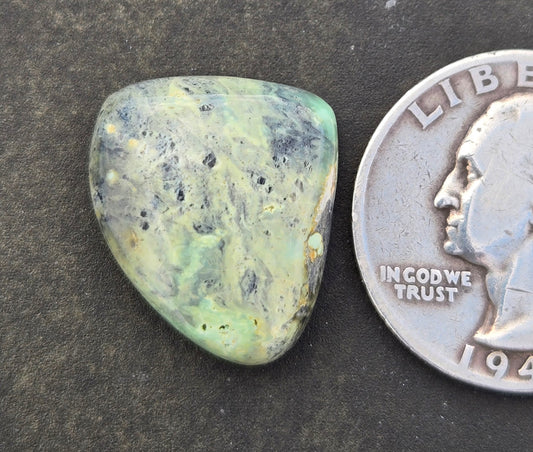 Prince Mine Variscite Cabochon