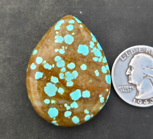 Number 8 Mine Turquoise Cabochon