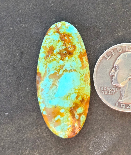 Patagonia Turquoise Cabochon