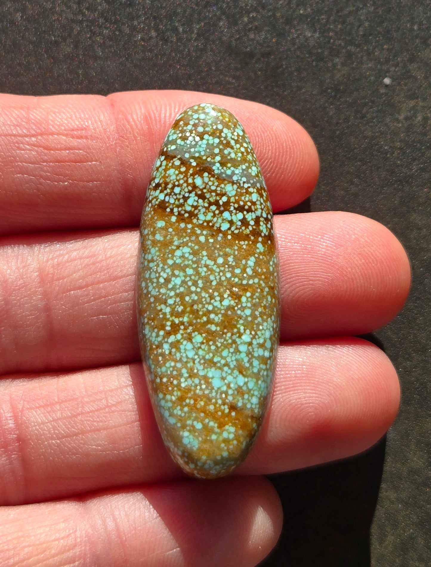 Number 8 Mine Turquoise Cabochon