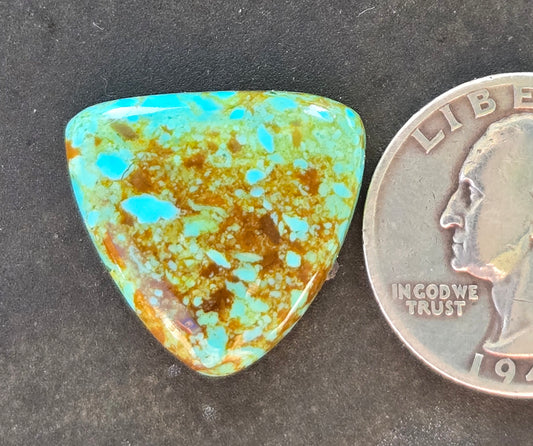 Patagonia Turquoise Cabochon