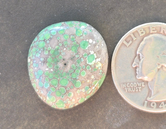 Turtleback Variscite Cabochon