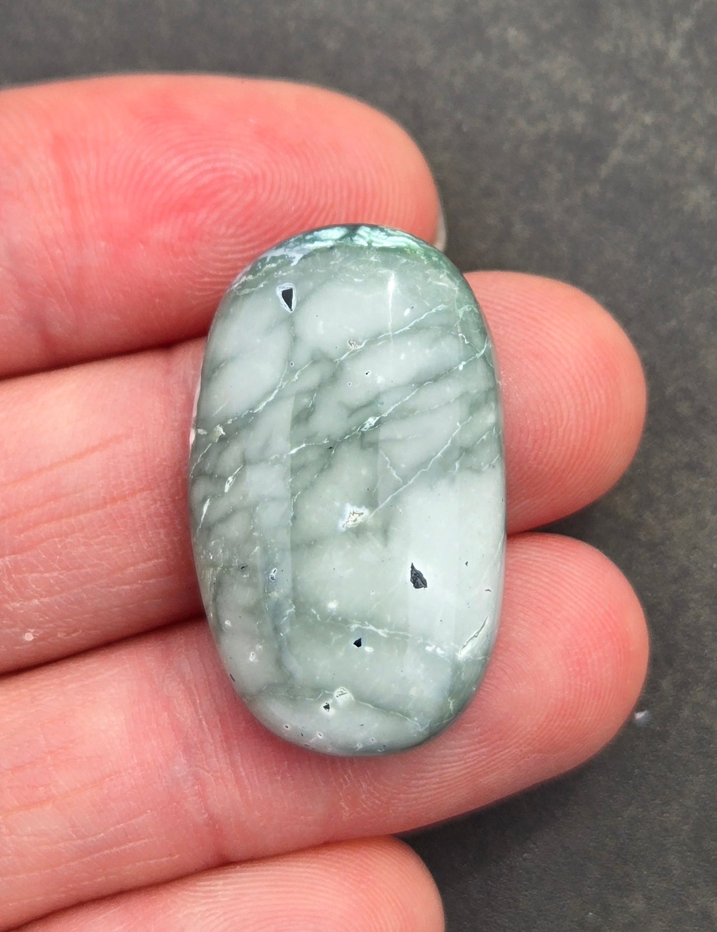 Mystic Sage Turquoise/Variscite Cabochon