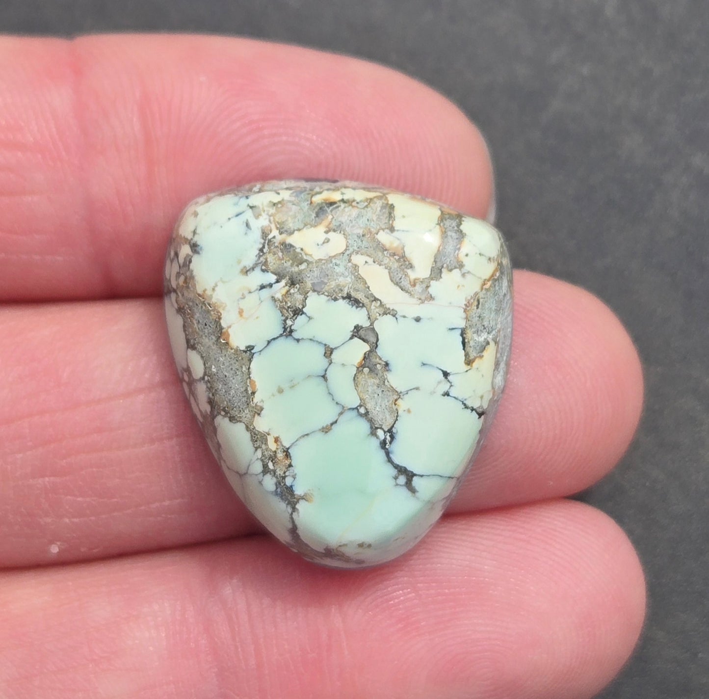 Prince Mine Variscite Cabochon