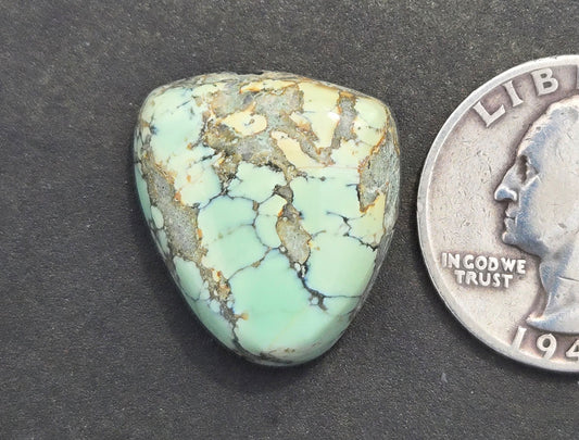 Prince Mine Variscite Cabochon