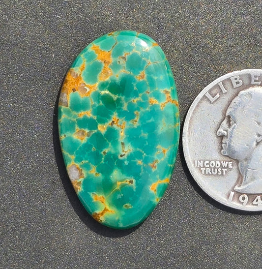AAA Turquoise Mountain Cabochon