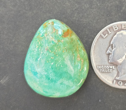 Campitos Turquoise Cabochon
