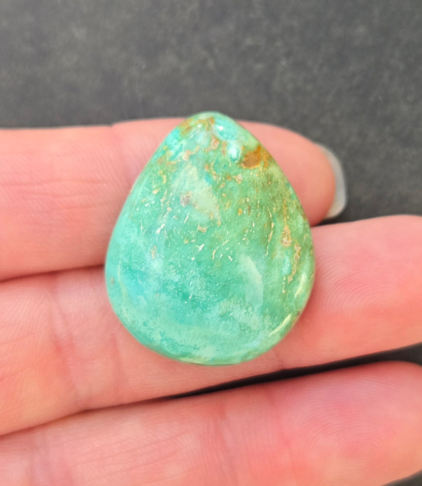 Campitos Turquoise Cabochon