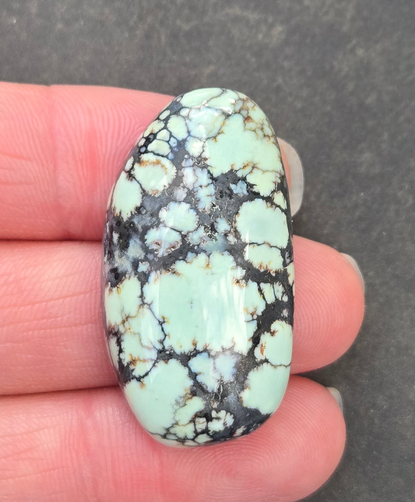 Saguaro Variscite Cabochon