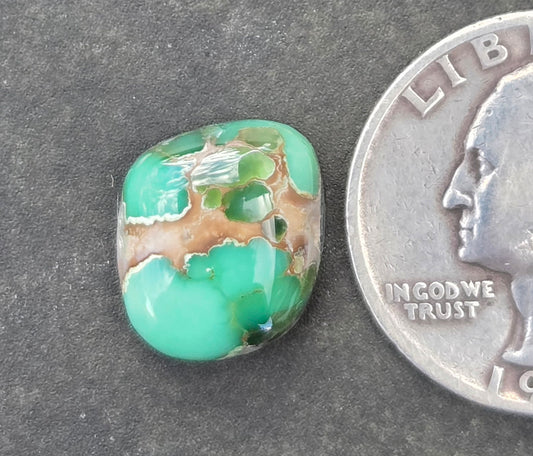 Damele Variscite Cabochon
