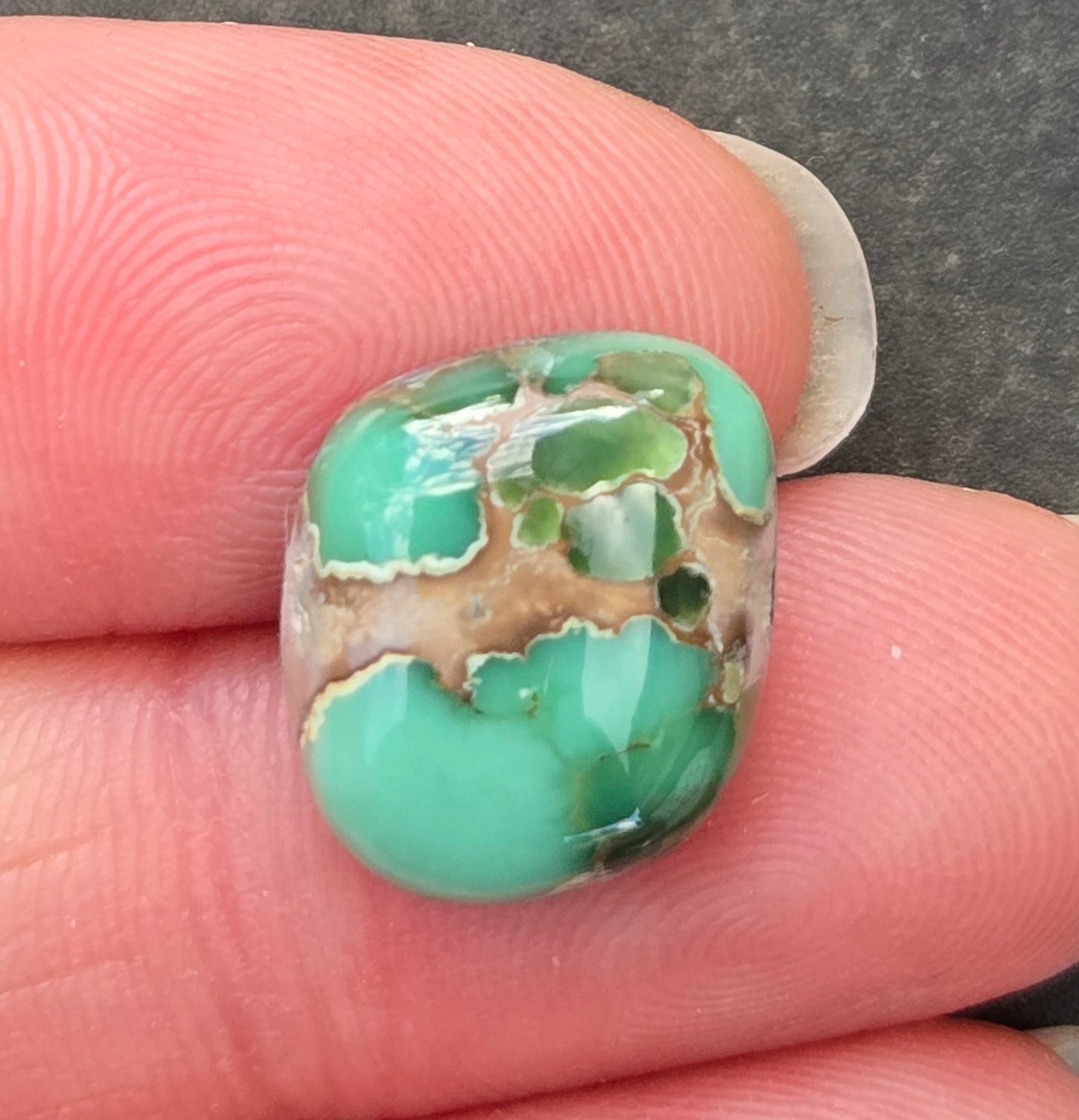Damele Variscite Cabochon