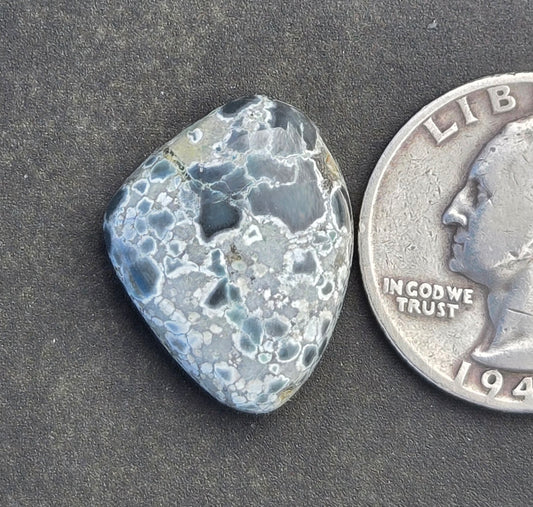 Desert Bloom Variscite Cabochon