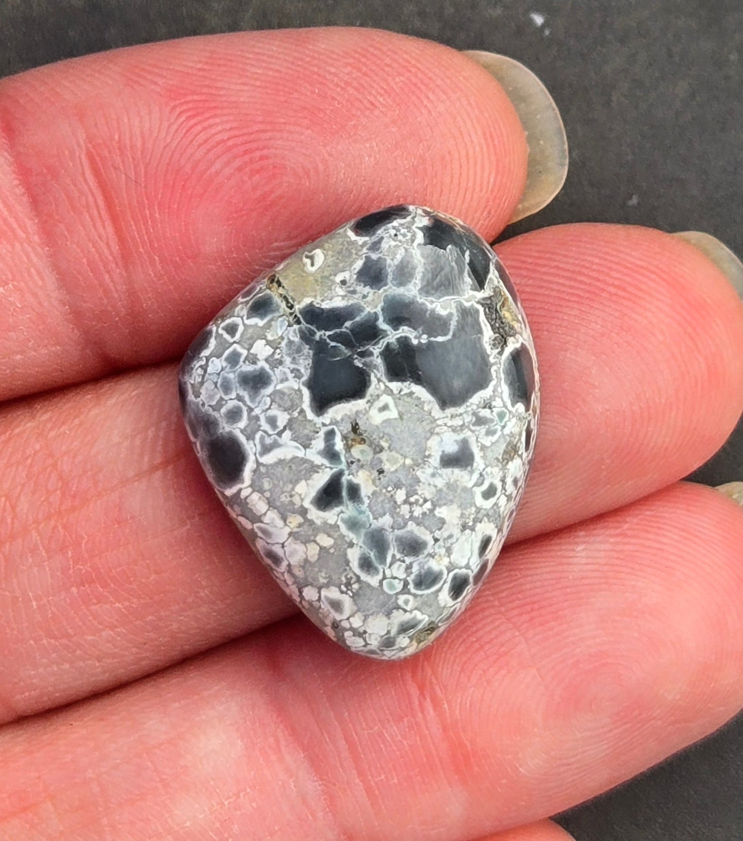 Desert Bloom Variscite Cabochon