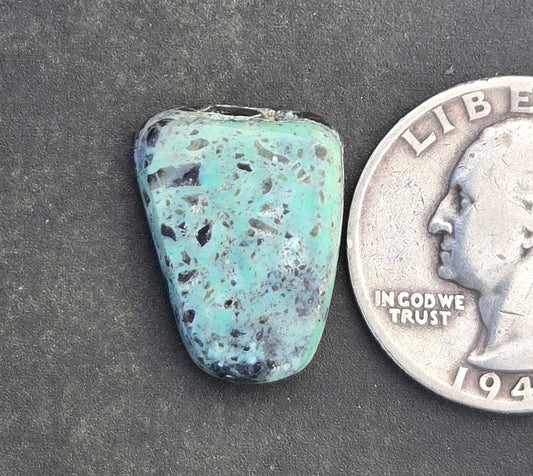 Apache Variscite/Turquoise Cabochon