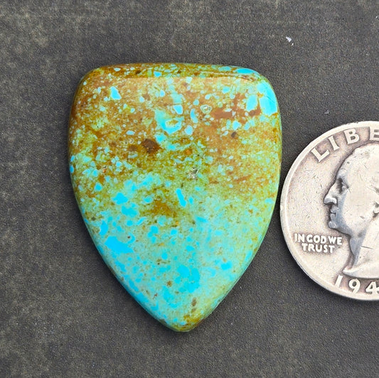 Patagonia Turquoise Cabochon
