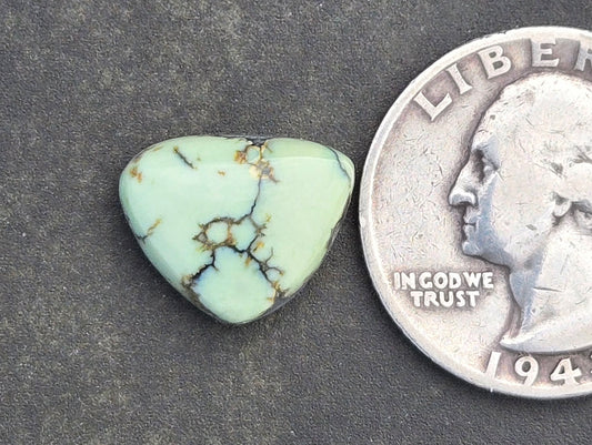 Saguaro Variscite Cabochon