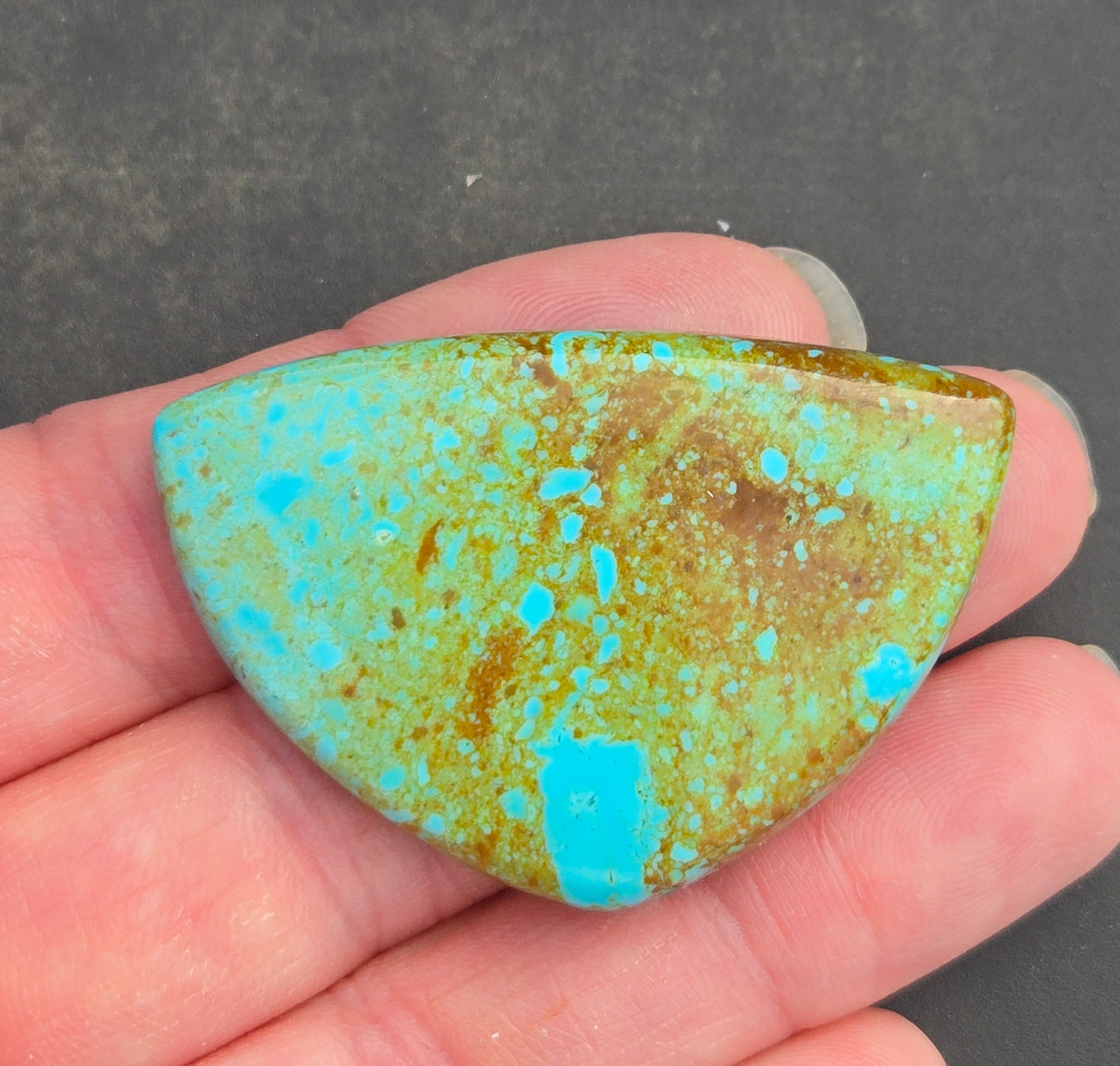 Patagonia Turquoise Cabochon