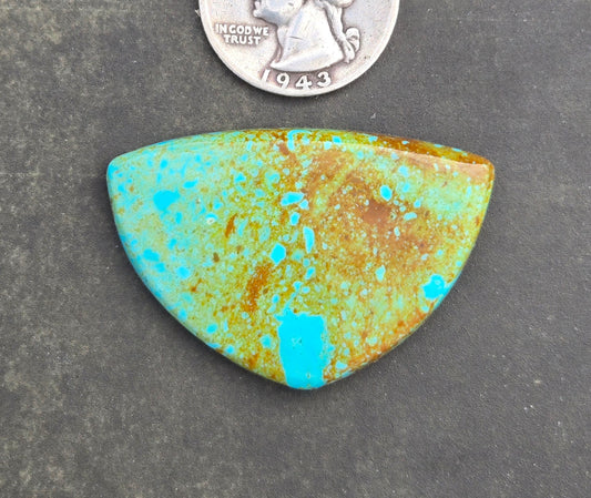 Patagonia Turquoise Cabochon