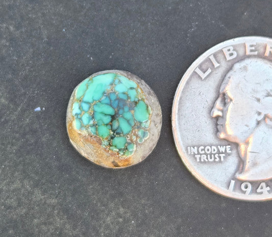 Turtleback Variscite Cabochon