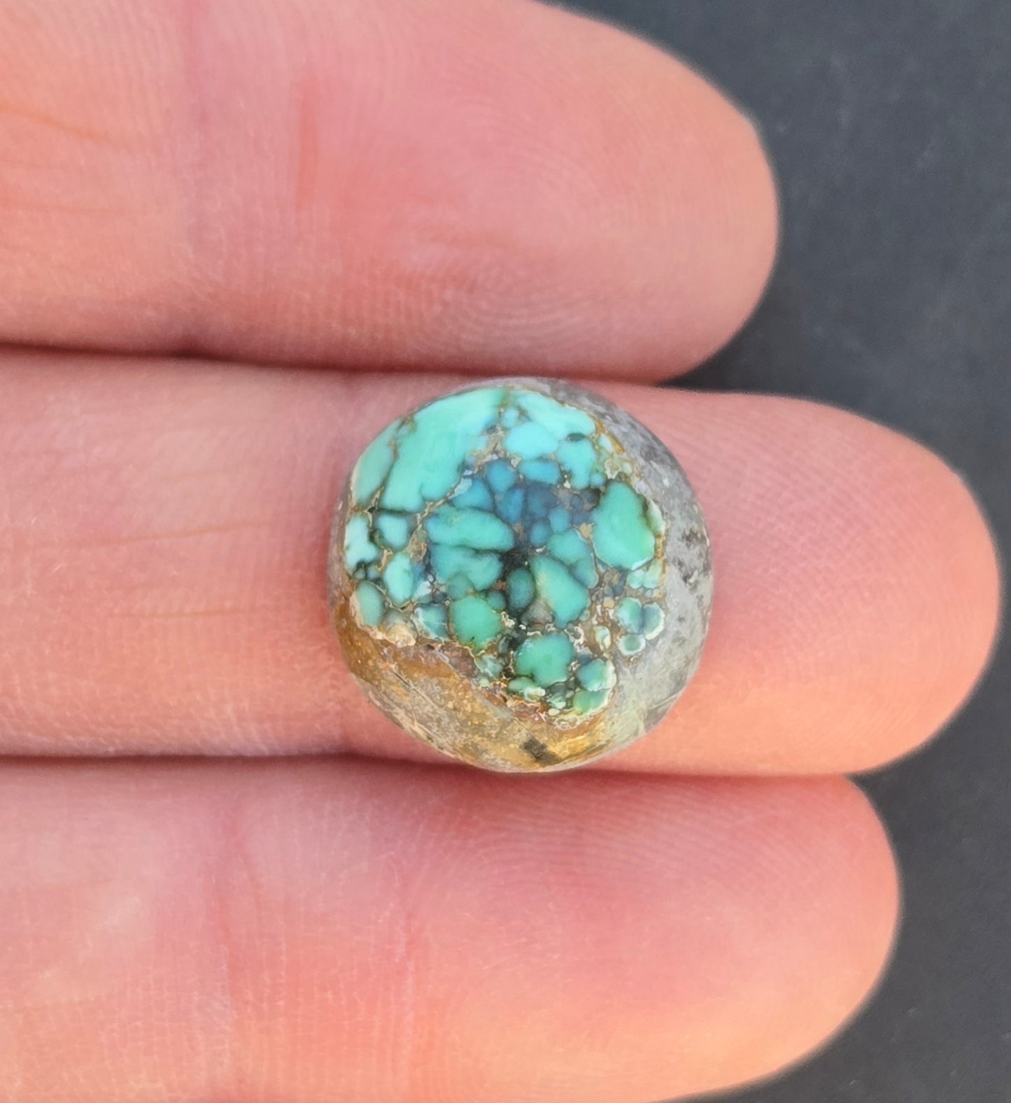 Turtleback Variscite Cabochon
