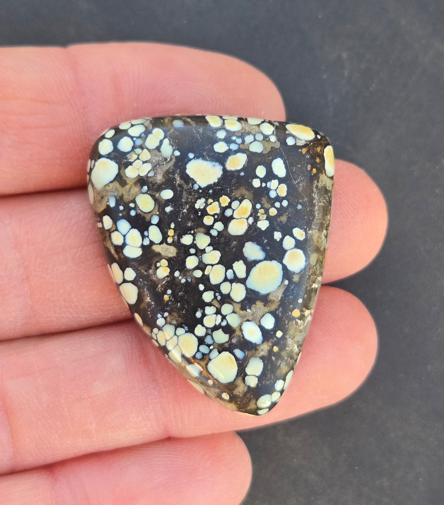 Desert Bloom Variscite Cabochon