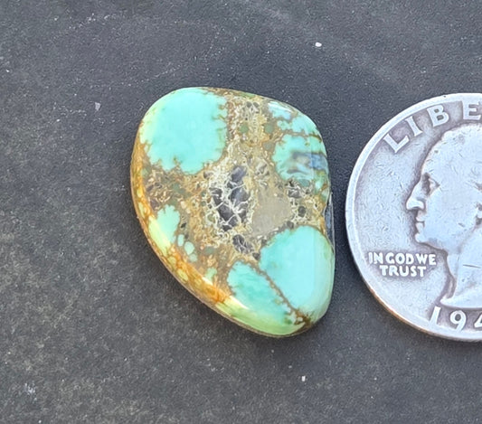 Desert Bloom Variscite Cabochon