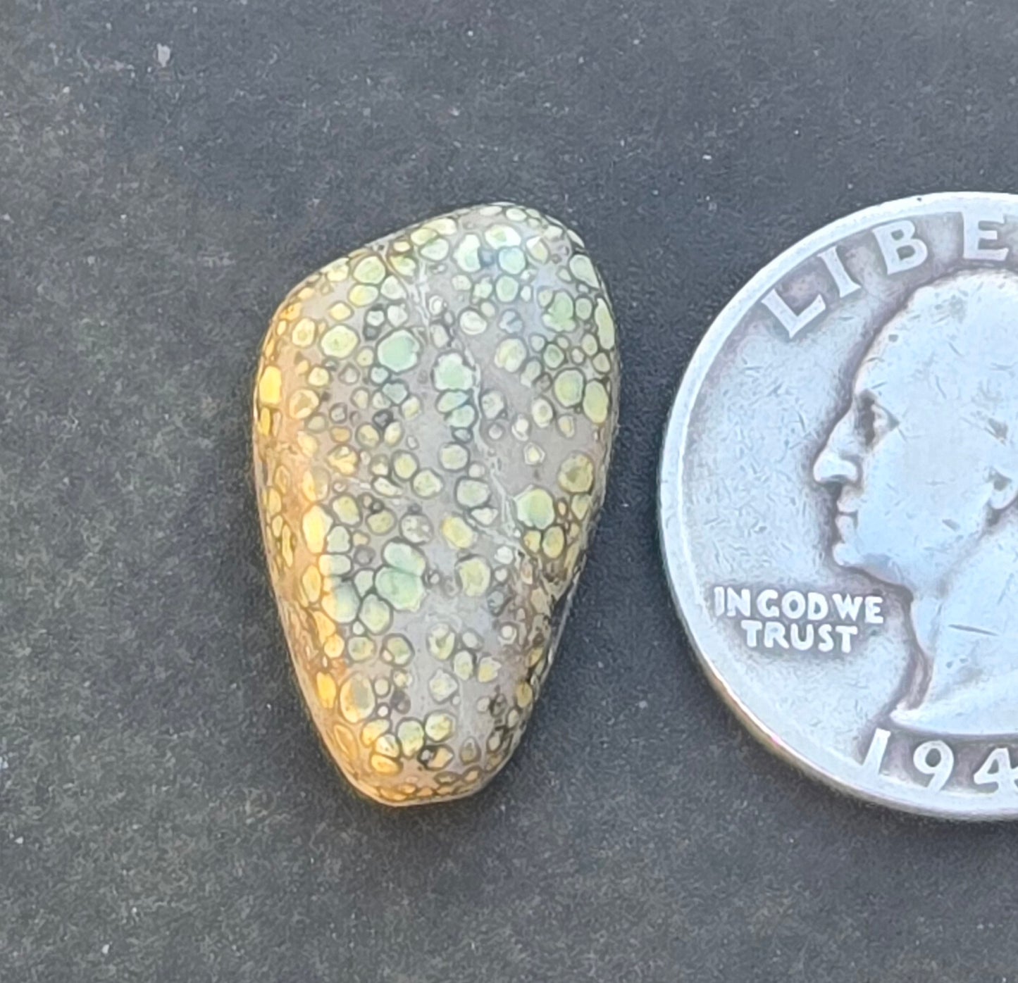Desert Bloom Variscite Cabochon