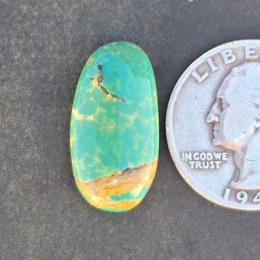 AAA Kingman Green Hardy Pit Turquoise Cabochon