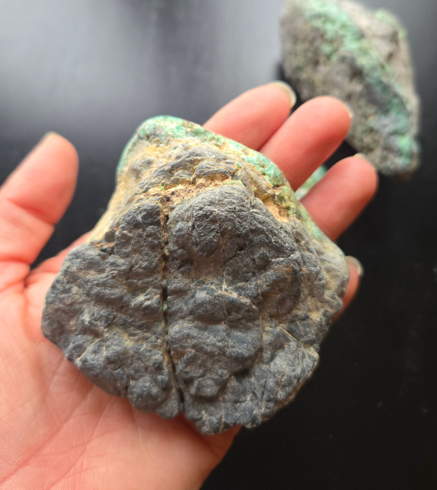 Blue Boy Variscite/Turquoise rough for cabbing - Natural Nevada Variscite - 448 gram lot