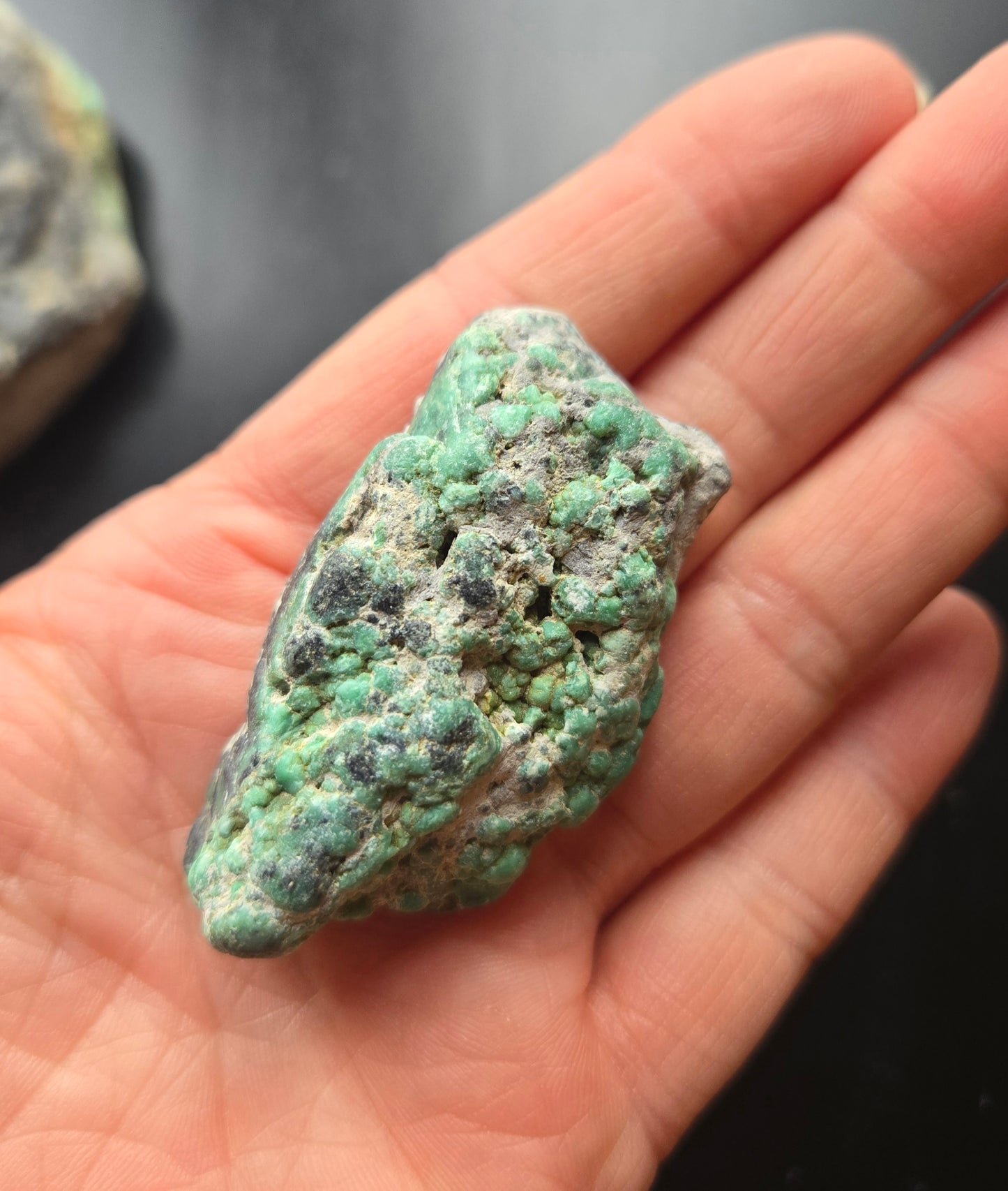 Blue Boy Variscite/Turquoise rough for cabbing - Natural Nevada Variscite - 448 gram lot