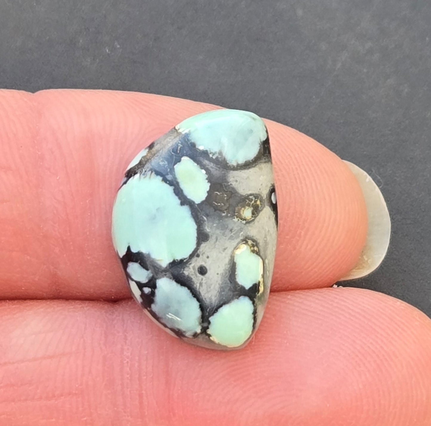 Saguaro Variscite Cabochon