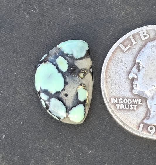 Saguaro Variscite Cabochon