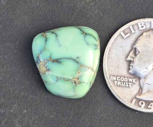 Desert Bloom Variscite Cabochon