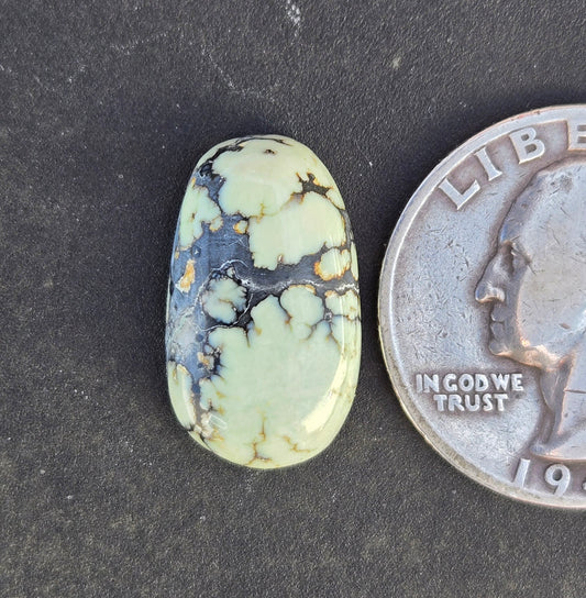 Saguaro Variscite Cabochon