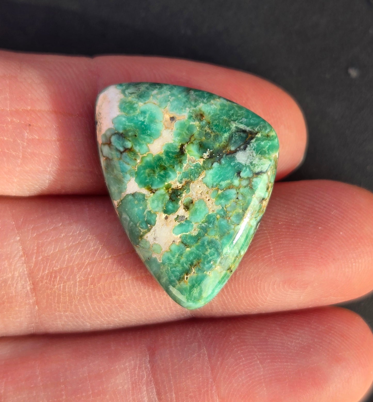 Blue Boy Variscite Cabochon