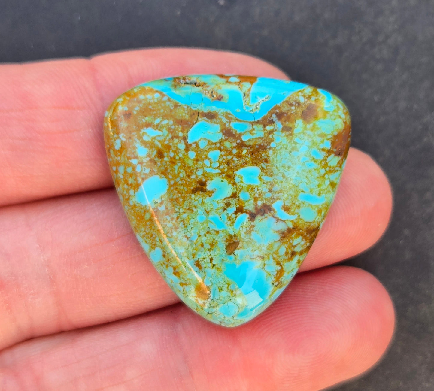 Patagonia Turquoise Cabochon