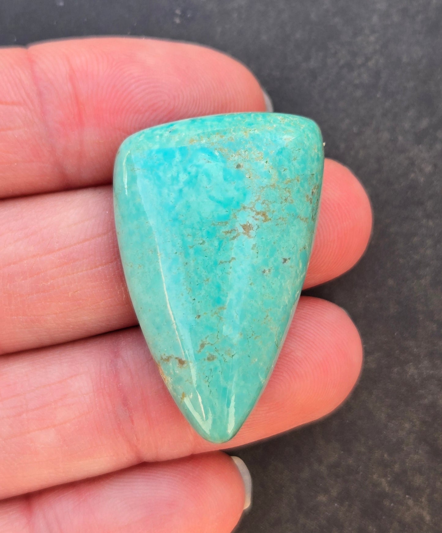 Patagonia Turquoise Cabochon