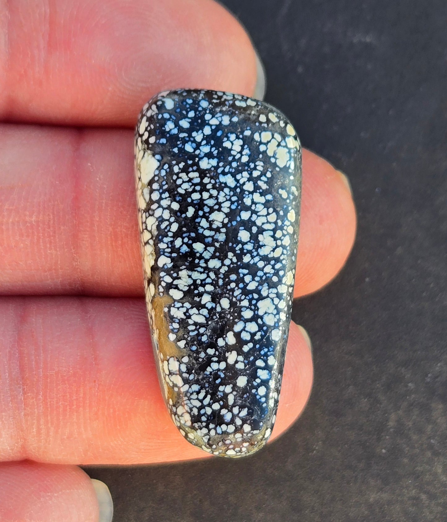 Angel Wing Variscite/Chalcosiderite Cabochon