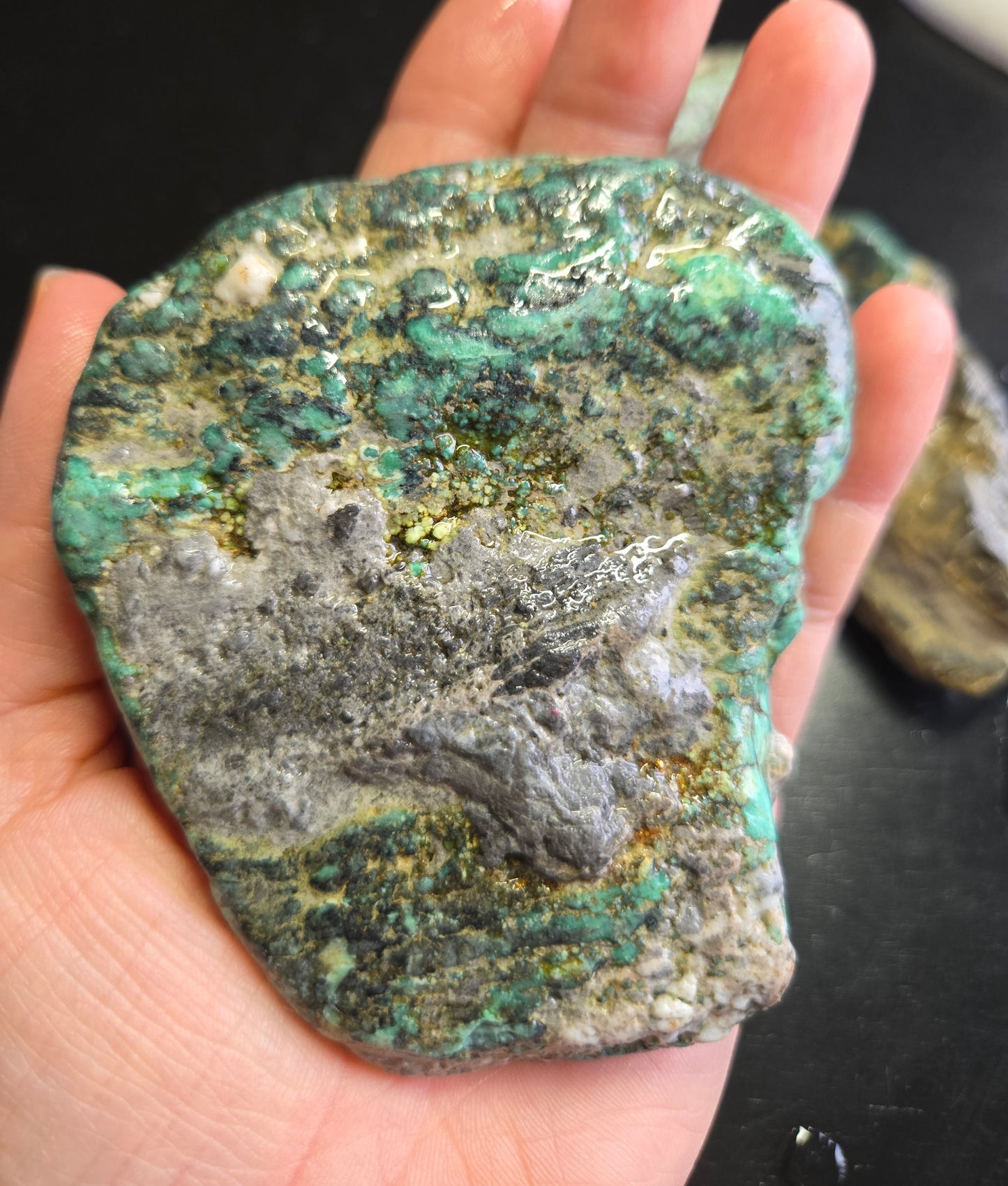 Blue Boy Variscite/Turquoise rough for cabbing - Natural Nevada Variscite - 448 gram lot 2