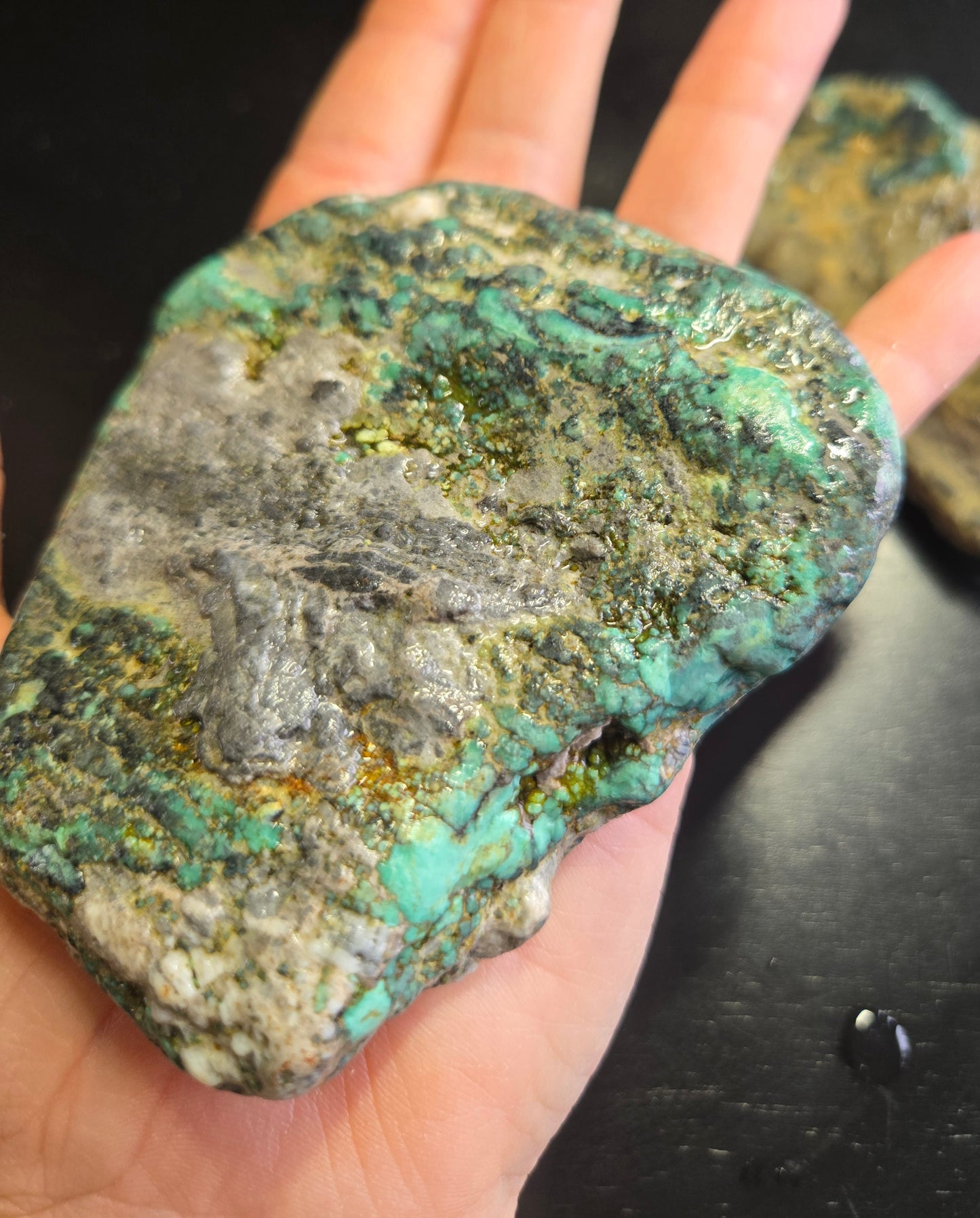 Blue Boy Variscite/Turquoise rough for cabbing - Natural Nevada Variscite - 448 gram lot 2