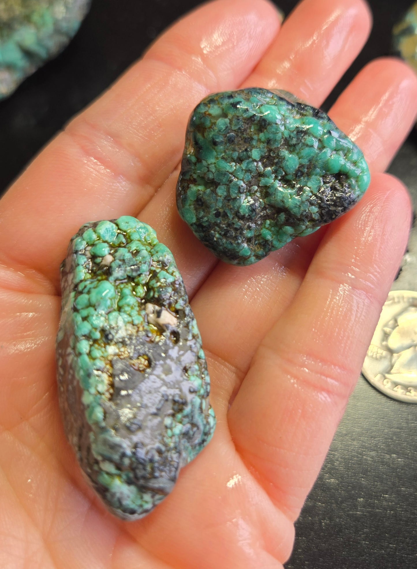 Blue Boy Variscite/Turquoise rough for cabbing - Natural Nevada Variscite - 448 gram lot 2